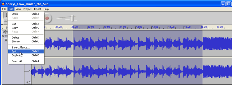 Audacity Screen Shot