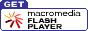 Get Flash\