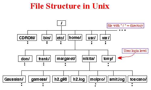 C-Tree File Structure